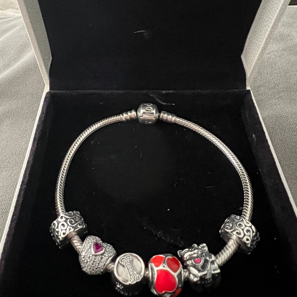 Pandora Charm Bracelet